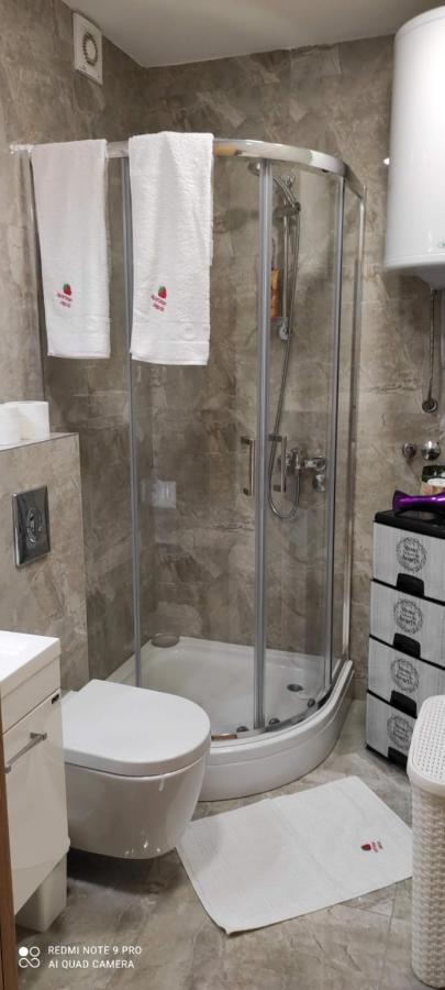 Zlatibor Apartman Jagoda 外观 照片